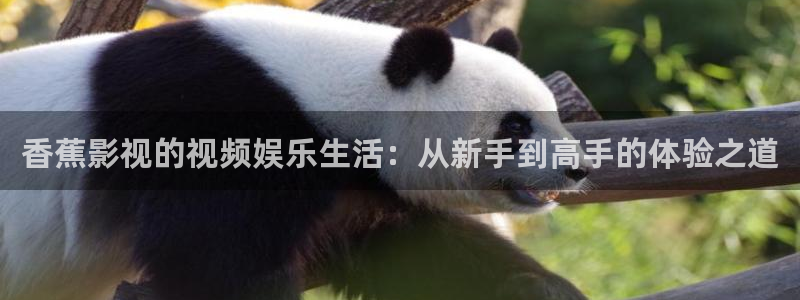 光棍影院\'：香蕉影视的视频娱乐生活：从新手到高手的体验之道